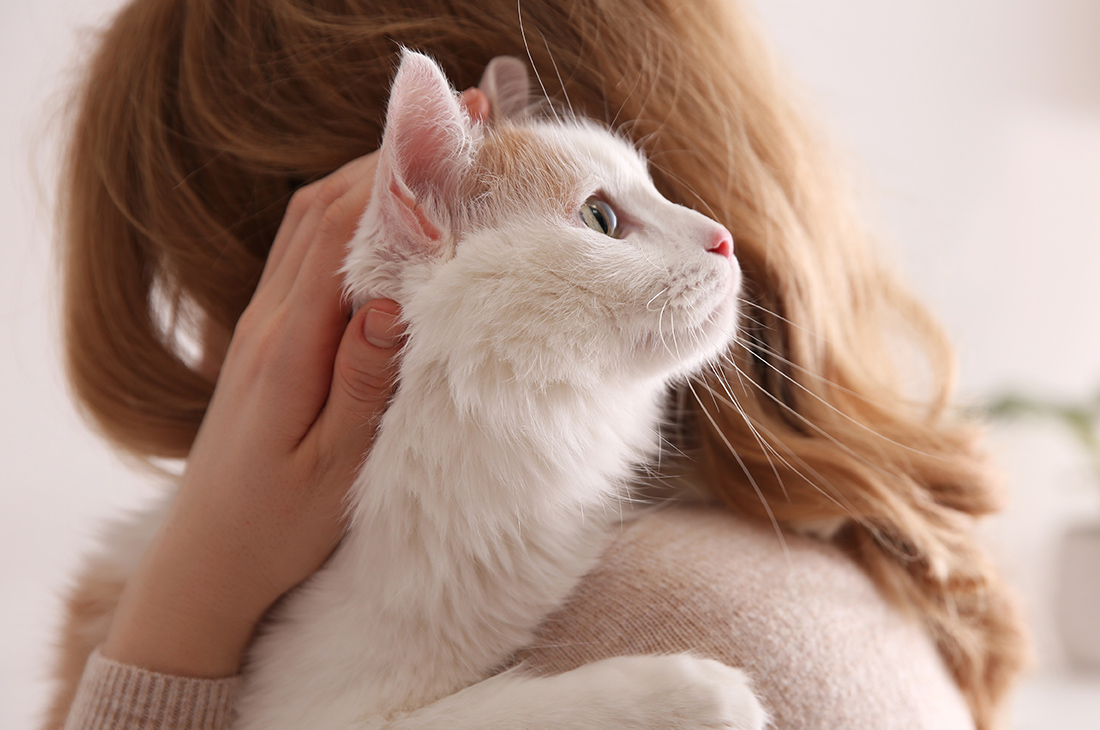 ネコちゃんの飼い主様へ