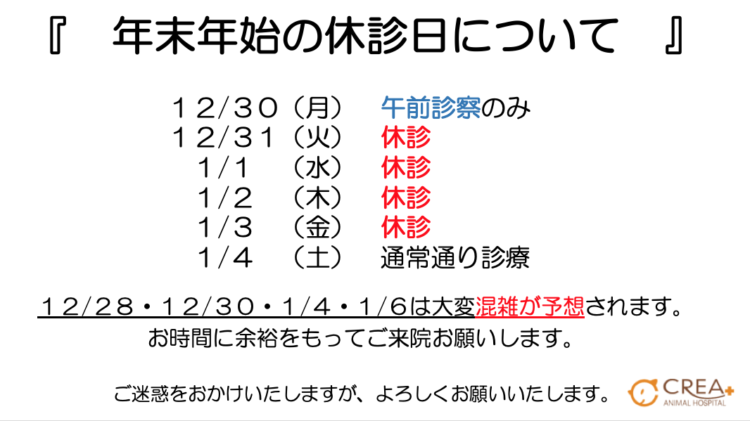 年末年始の休診日について