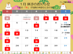 １月 休診のお知らせ
